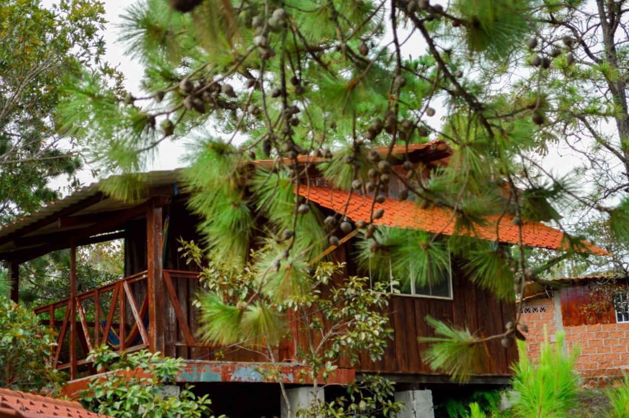 Hotel Y Restaurante Las Margaritas Perquín Extérieur photo